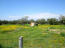 For sale:  land - Thasos (7679-535) | Dom2000.com #51380592