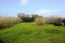 For sale:  land - Iraklion (crete) (4113-538) | Dom2000.com #24480733