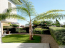 For sale:  home - Cyprus (4111-541) | Dom2000.com #36512520