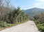For sale:  land - Kerkyra (Corfu island) (7679-543) | Dom2000.com #51380631