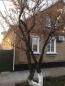 For sale:  home - Kirovograd city (9692-544) | Dom2000.com #67326968