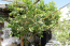 For sale:  home - Rodos (4112-545) | Dom2000.com #43556376