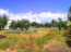 For sale:  land - Sithonia (4112-548) | Dom2000.com #24471114