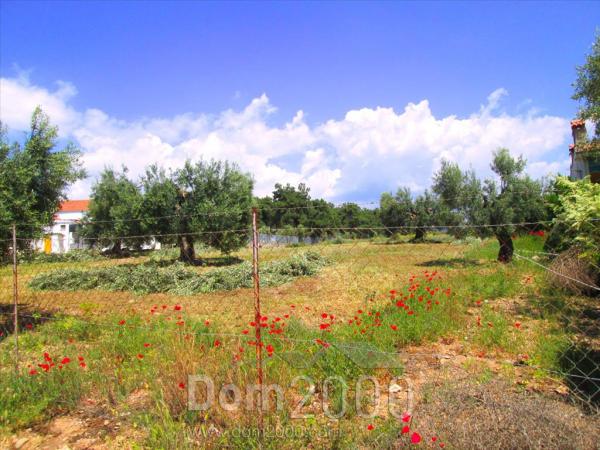 For sale:  land - Sithonia (4112-548) | Dom2000.com