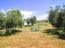 For sale:  land - Sithonia (4112-548) | Dom2000.com #24471119