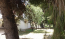 For sale:  home - Chalkidiki (4116-548) | Dom2000.com #24513452