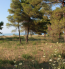 For sale:  land - Kassandra (4120-548) | Dom2000.com #24554758