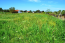 For sale:  land - Kassandra (4112-551) | Dom2000.com #24471126