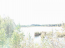 For sale:  land - Центральная улица str., д. Borok (10571-552) | Dom2000.com #76737073
