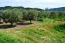 For sale:  home - Kassandra (4112-553) | Dom2000.com #24471149