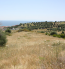 For sale:  land - Kassandra (4120-554) | Dom2000.com #24554841