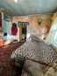 For sale:  home - Загородная улица, 45 str., Irkutsk city (10639-558) | Dom2000.com #77865076