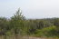For sale:  land - Chalkidiki (6187-560) | Dom2000.com #40827773