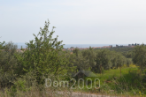 For sale:  land - Chalkidiki (6187-560) | Dom2000.com