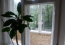Lease 2-room apartment - Шепелева Николая, 6а str., Solom'yanskiy (9184-560) | Dom2000.com #62728849