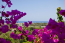 For sale hotel/resort - Rodos (4112-562) | Dom2000.com #24471260