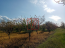 For sale:  land - Magazinka village (10636-563) | Dom2000.com #77829616
