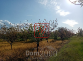 For sale:  land - Magazinka village (10636-563) | Dom2000.com