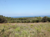 For sale:  land - Kassandra (4115-565) | Dom2000.com