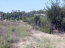 For sale:  land - Kassandra (4115-565) | Dom2000.com #24502364