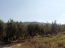 For sale:  land - Kassandra (4115-565) | Dom2000.com #24502365