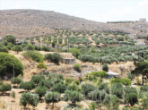 Продам земельный участок - Ираклио (Крит) (4116-566) | Dom2000.com