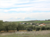 For sale:  land - Chalkidiki (7679-566) | Dom2000.com