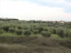 For sale:  land - Chalkidiki (7679-566) | Dom2000.com #51380738