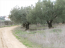 For sale:  land - Chalkidiki (7679-566) | Dom2000.com #51380740