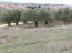 For sale:  land - Chalkidiki (7679-566) | Dom2000.com #51380741