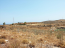 For sale:  land - Iraklion (crete) (4116-570) | Dom2000.com #24513677