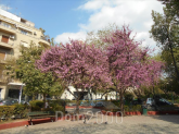 For sale:  3-room apartment - Athens (6648-571) | Dom2000.com