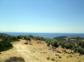 For sale:  land - Thasos (4116-573) | Dom2000.com