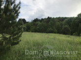 For sale:  land - Veliki Dmitrovichi village (10254-574) | Dom2000.com