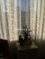 Lease 2-room apartment - Героев Сталинграда проспект, 54а str., Obolonskiy (9186-575) | Dom2000.com #62752928