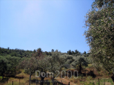 For sale:  land - Thasos (4116-576) | Dom2000.com