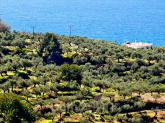 For sale:  land - Pelloponese (4115-578) | Dom2000.com