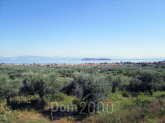 For sale:  land - Thasos (4116-578) | Dom2000.com