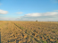 Продам земельный участок - Салоники (7679-580) | Dom2000.com #51380799