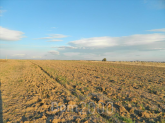 Продам земельну ділянку - Thessaloniki (7679-580) | Dom2000.com