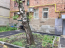 For sale:  office - Динамовская ул., Harkiv city (9994-583) | Dom2000.com #70374557