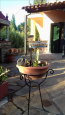 For sale:  home - Sithonia (5459-584) | Dom2000.com #35511390