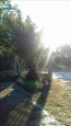 For sale:  home - Sithonia (5459-584) | Dom2000.com #35511393