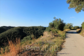 For sale:  land - Kerkyra (Corfu island) (6871-584) | Dom2000.com