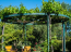 For sale:  home - Zakynthos (7569-584) | Dom2000.com #51336334