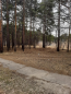 For sale:  land - 6 str., Angarsk city (10472-586) | Dom2000.com #75648087