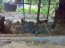 For sale:  home - Dnipropetrovsk city (5611-586) | Dom2000.com #36717866