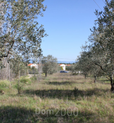 Продам земельный участок - Ситония (Халкидики-Ситония) (4120-589) | Dom2000.com