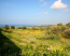 For sale:  home - Cyprus (4113-591) | Dom2000.com #24481201