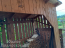 For sale:  home - р-н. Zhukovskiy (10638-593) | Dom2000.com #77855669